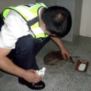 야로파출소 이미지