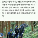 범인은 왜 여고생 머리를 1cm로 밀었나..범죄전문가들이 분석한 '강진 살인사건' 이미지