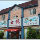 금룡 이미지
