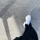 네일;욤