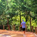 오소리약수터 이미지