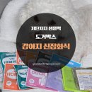 저단22 | 강아지 신장화식 도거박스 저단저지 샘플팩 급여 후기