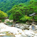 연(주) Daum카페