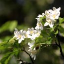 제주우리병원 이미지