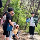 함안 명관리 공룡발자국 이미지
