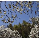 주식회사 바이오클라우드 이미지