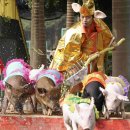 붉은돼지 이미지