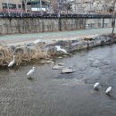 성지부동산중개사무소 이미지