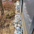 폐기물불법처리 신고 못하나요? 이미지