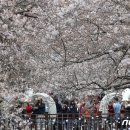 진해구 ⓒ-24 이미지