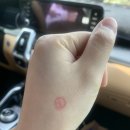 수연의원 이미지