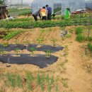 이진규농장 이미지