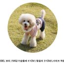 소피하우스 네이버블로그