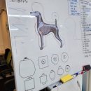 (단기)반려동물미용사(자격증)_주말 이미지