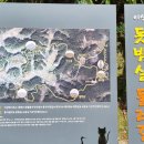 이산면행정복지센터 이미지