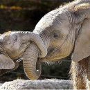 평화로운가족 이미지