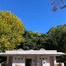 (주)세미코테크놀로지 | [일본/후쿠오카]세미객식구 여행 3박 4일(1/2)✈️ 쇼핑...먹방(봄바키친,백스테이지,시나리우동,코히비미)