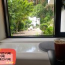 경주 웰빙 건강백화점 | 경주애견동반카페 더샘가든카페 보문단지 야외카페 주차꿀팁 내돈내산 솔직후기