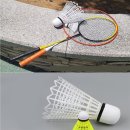 배드민턴 이미지