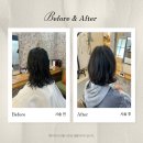 헤어스케치 | 제주연동미용실 단발 볼륨펌 후기, 헤어스케치연동본점 다녀왔어요