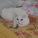 뭘봐PC방 이미지