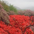 완산도서관 이미지