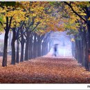 우산속으로 이미지