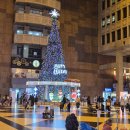 태양당 | 태양당 태양병 대만기념품 기름기없는 담백한 대만디저트 추천!