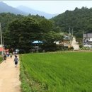 가곡초등학교(대곡분교) 이미지