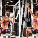 빈센트 핏 이미지