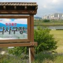 세천강변 이미지