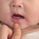 아기 이앓이증상때 먹여본 이앓이사탕, 오사닛캔디 사용후기