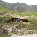 화개농원 이미지