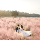 13월의 제주 이미지