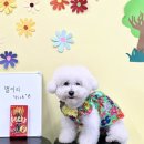 브루하하유치원 이미지