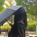 돌고래주유소 이미지