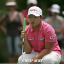 라이 이미지