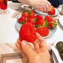 두리농장1 | 호텔 딸기뷔페 추천 서울드래곤시티인스타일 할인