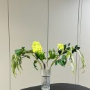 식물 인테리어 | 플랜테리어 생화같은 조화 인테리어 식물 내돈내산 구매후기