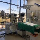 더케어벳 이미지