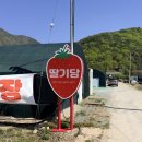 황산농장 | 양산 딸기당 체험 &amp; 황산공원 소풍, 아이와 가볼만한곳 추천