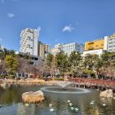 돈꿀돼지국밥화명점 이미지