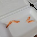 신대온누리약국 이미지