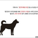 ​교상 (개나 뱀에게 물린 경우) 의 응급처치 이미지