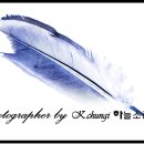 덜아픈세상 이미지