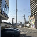 감자바우 이미지