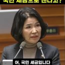 이진숙 방통위원장 탄핵건에서 민주당측 국회에세서 지불한 변호사비 1억2천만원. 이미지