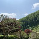 코나세르스파 이미지