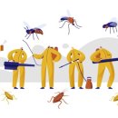 크린플러스 이미지