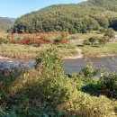 영월부동산공인중개사사무소 이미지